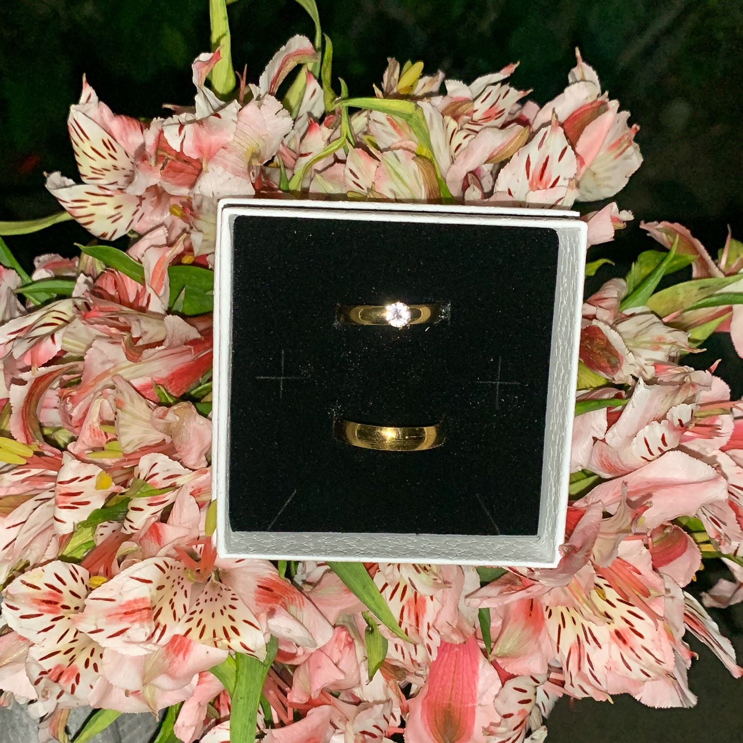 Anillos Promesa Eterna